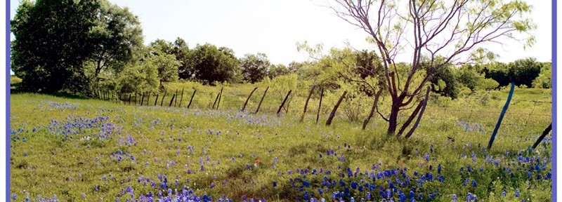 PHOTOS: On the Road to Cleburne