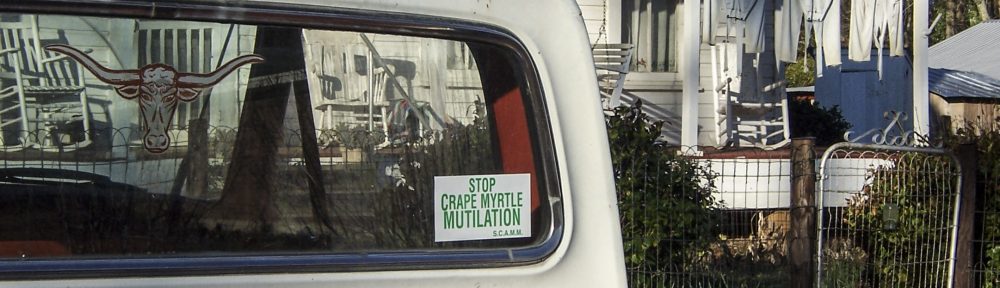 Stop Crape Myrtle Mutilation